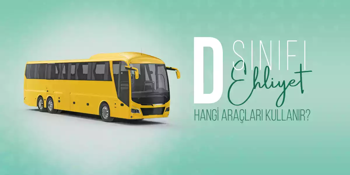 D Sınıfı Ehliyet Nedir? Hangi Araçları Kullanır? - Tanoto