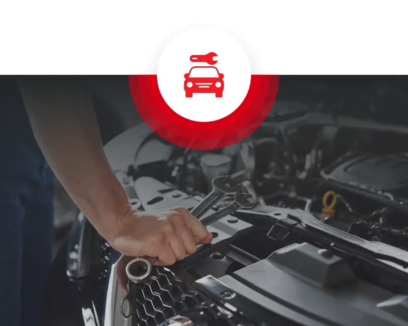 Servis