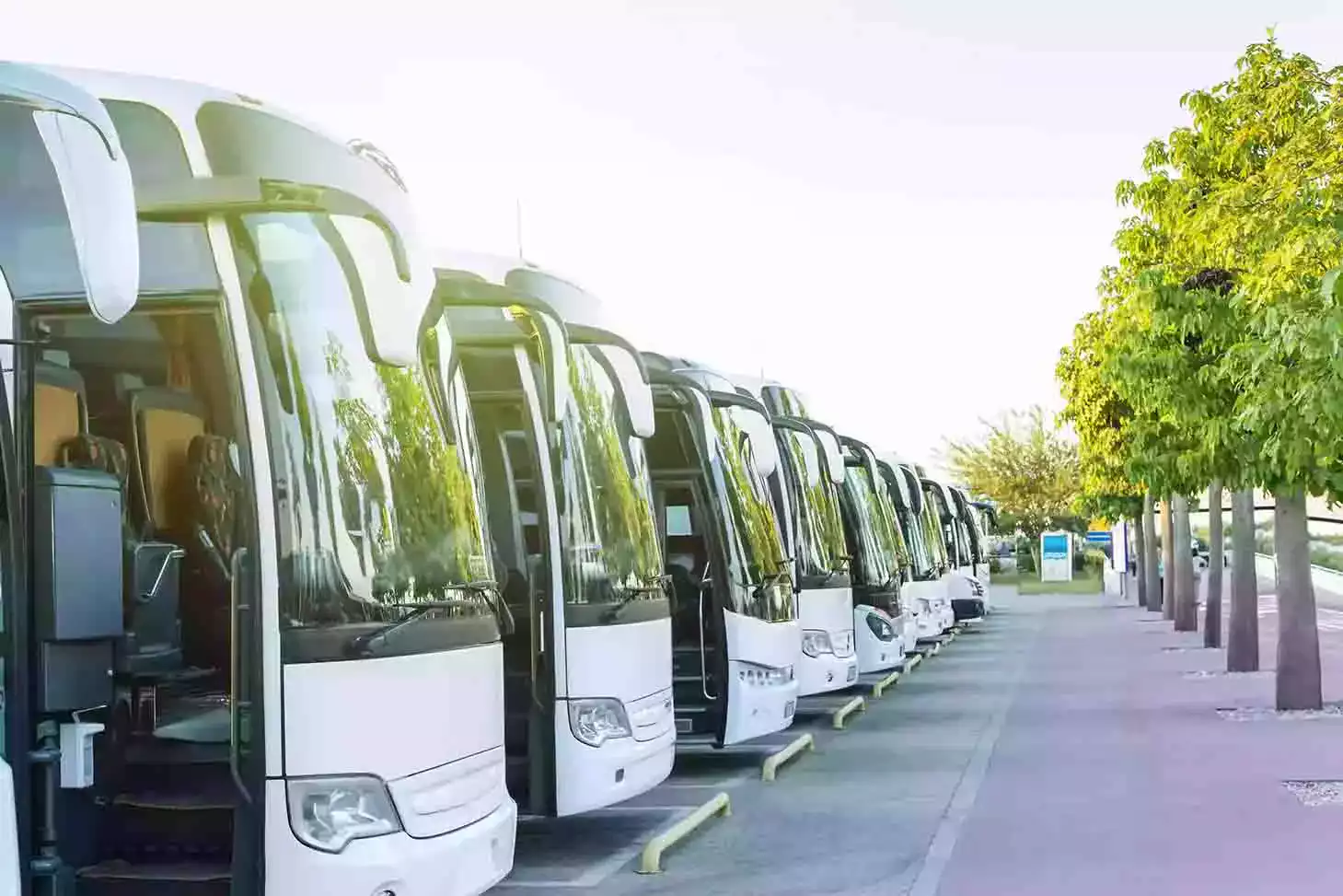 Otobüs Ehliyeti Hangi Sınıf